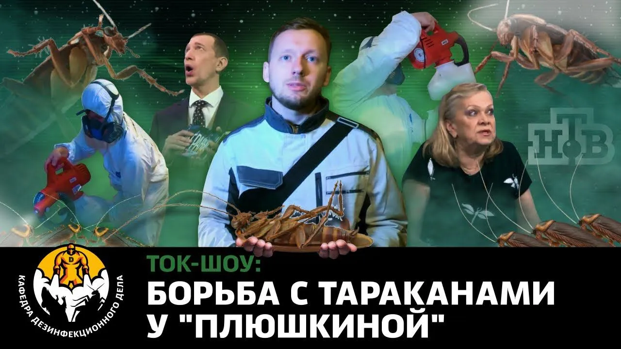 Борьба с тараканами в нехорошей квартире