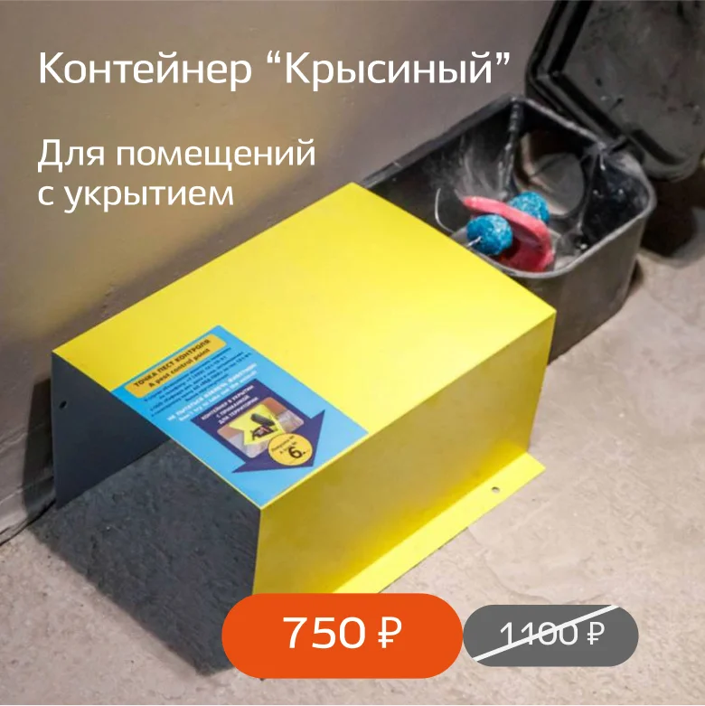 фото ловушки для пест-контроля