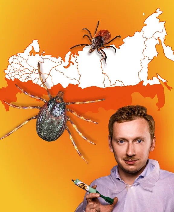 Появление опасных экзотических клещей Hyalomma (Хиаломма) в России