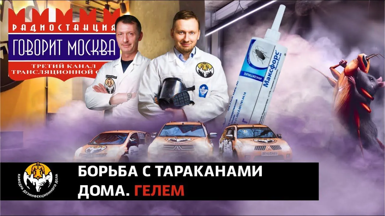 Уничтожение домашних тараканов гелем