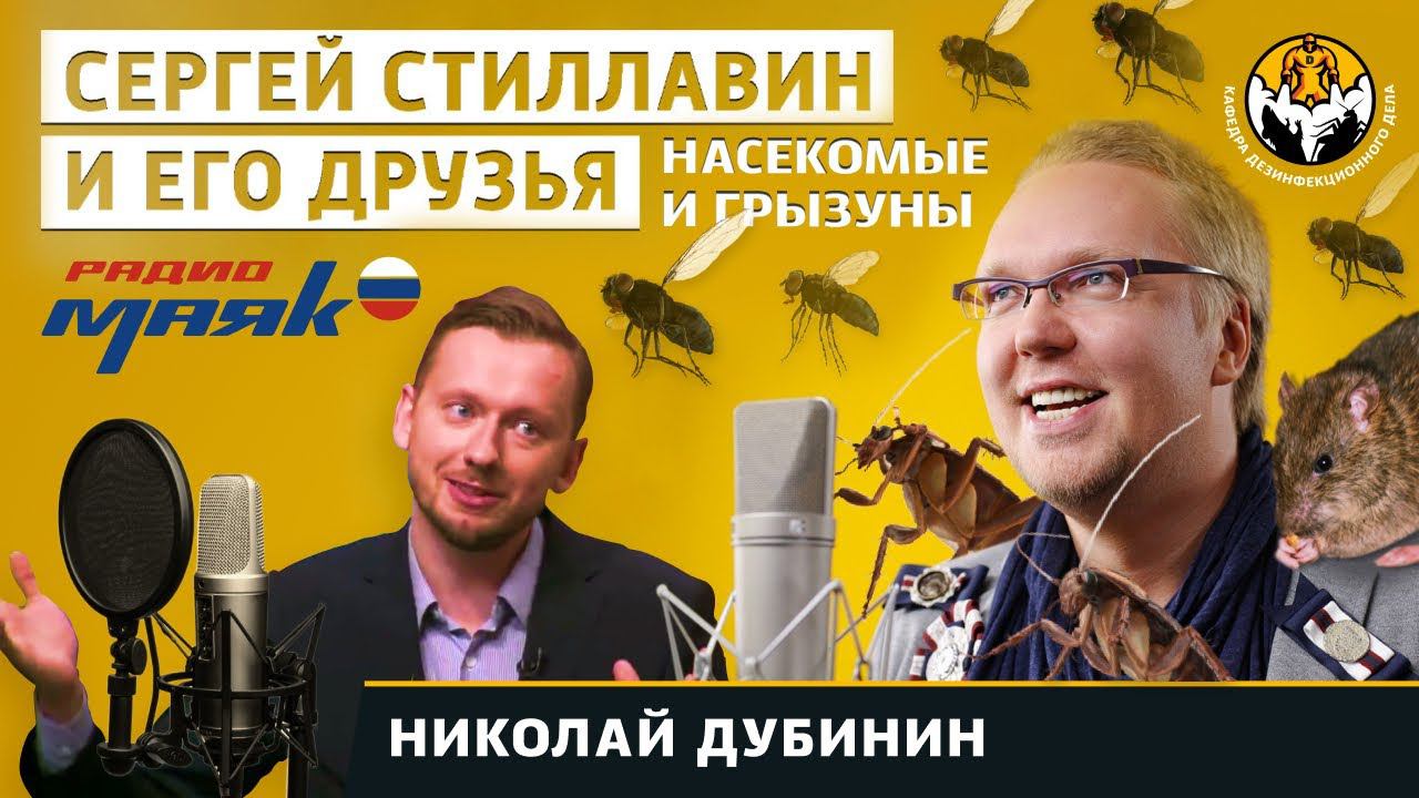 Как избавиться от летающих насекомых