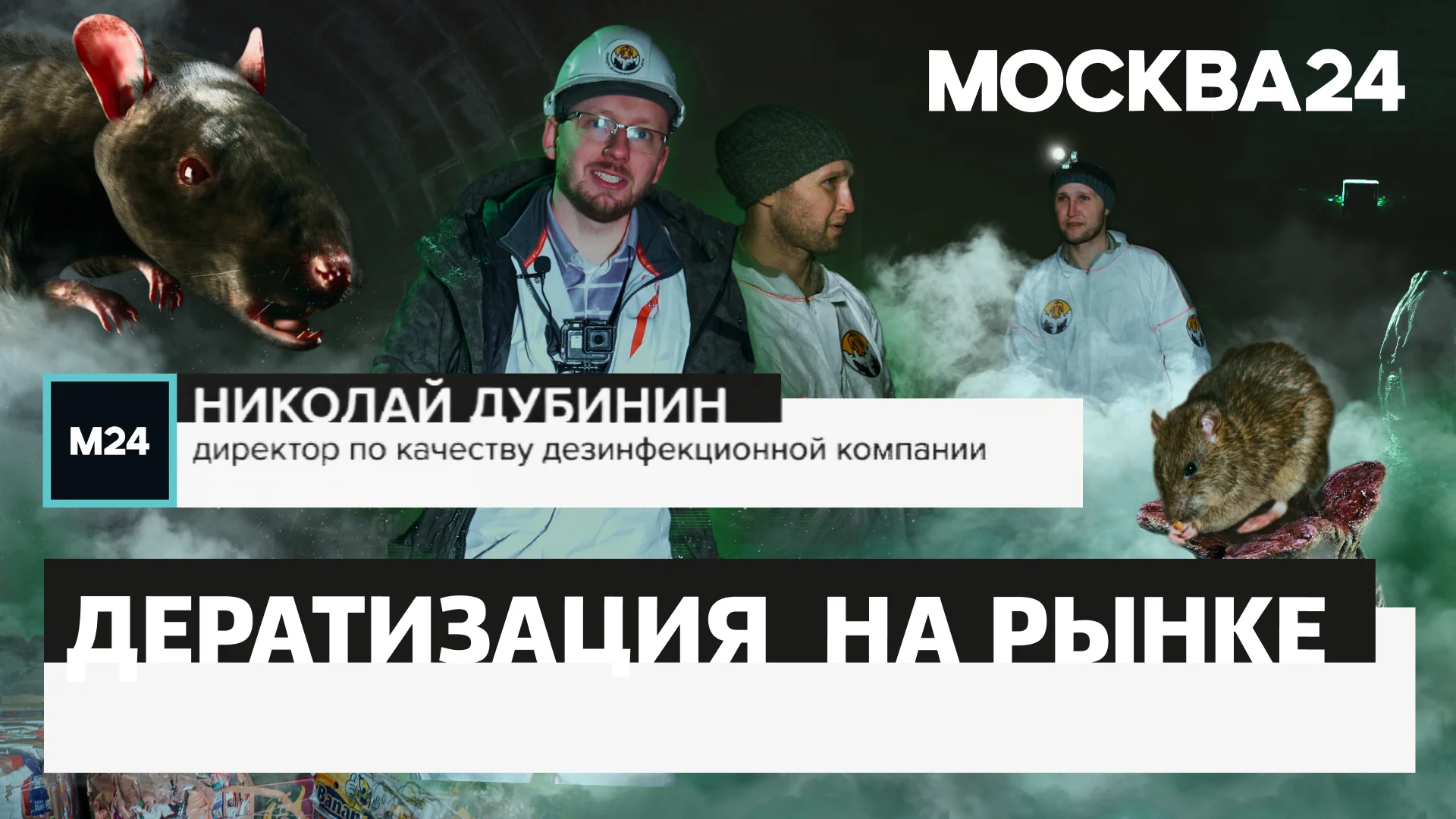 Дератизация на московском рынке