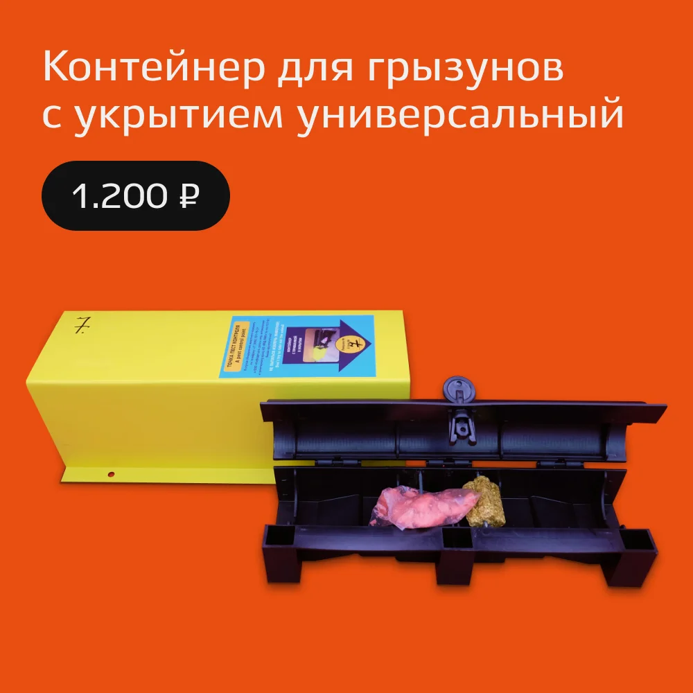 Контейнер труба с укрытием и приманкой